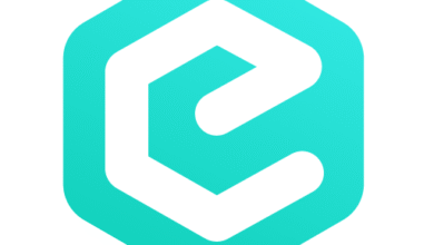 Constant Cash-Instant Loan App